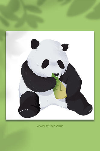 大熊猫国家保护动物元素插画
