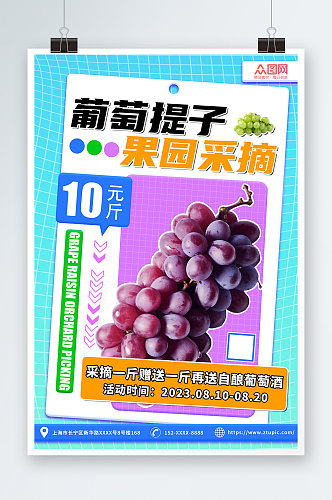时尚渐变水果葡萄提子果园采摘活动海报