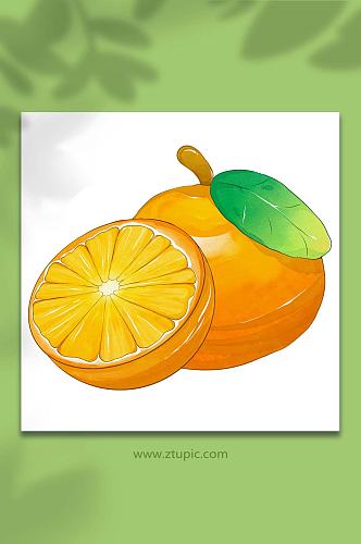 橘子桔子冬季水果橘子元素插画