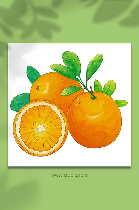 橙子桔子冬季水果橘子元素插画