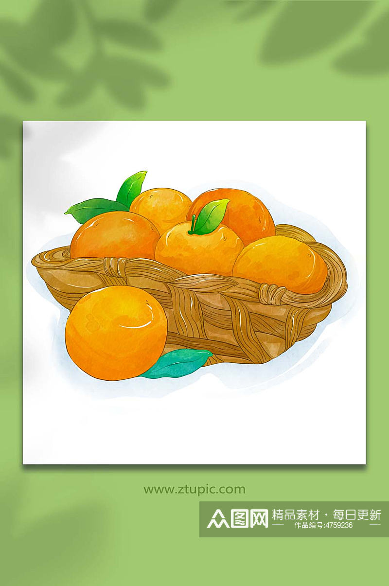 橙子桔子冬季水果橘子元素插画素材