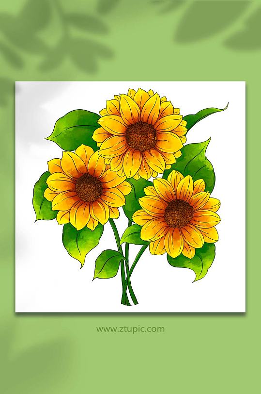 向日葵花卉元素插画-众图网