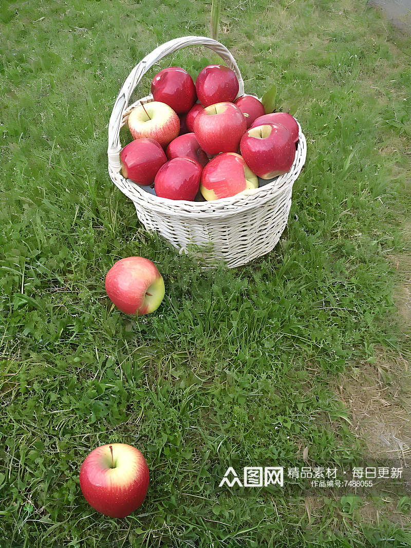 水果苹果高清图片素材