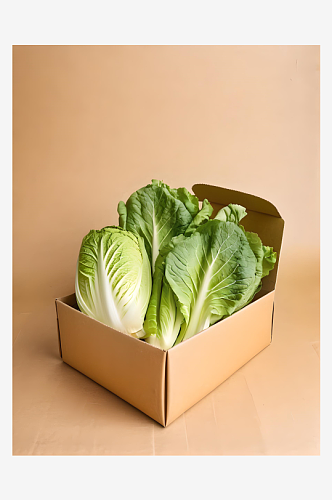 蔬菜大白菜高清图片