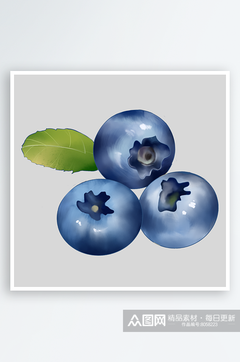 蓝莓原创手绘素材素材