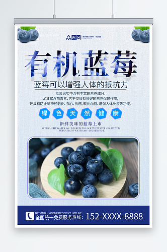 简约创意蓝莓水果店图片海报