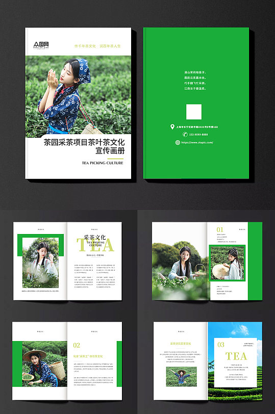 茶园采茶项目茶叶茶文化宣传画册-众图网