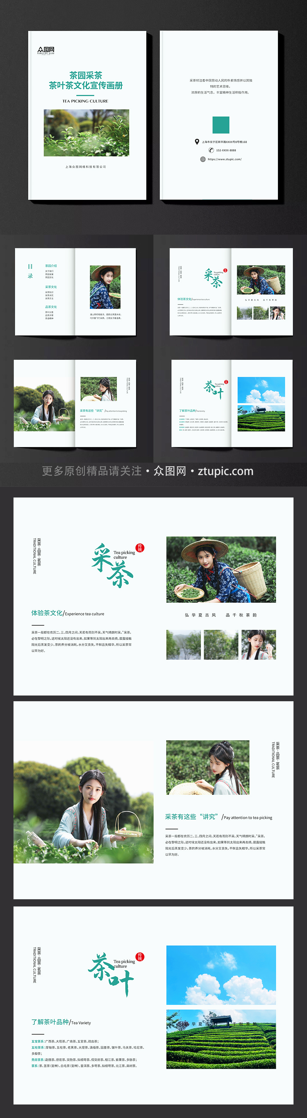 简约茶园采茶项目茶叶茶文化宣传画册素材