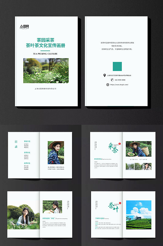 简约茶园采茶项目茶叶茶文化宣传画册-众图网