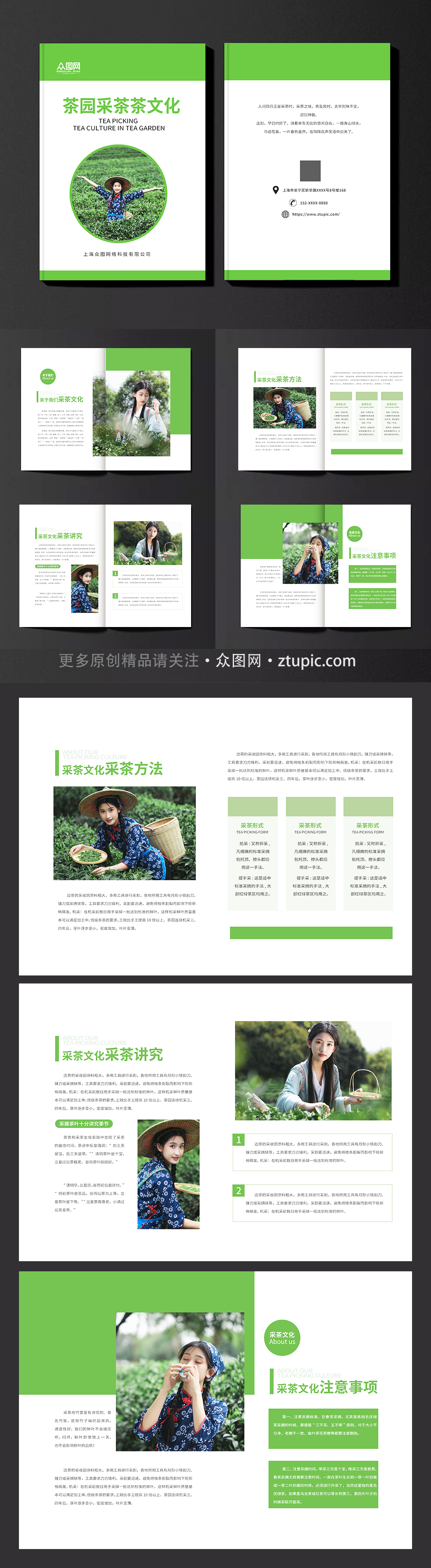 简约茶园采茶项目茶叶茶文化宣传画册素材