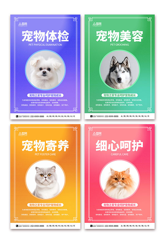 多彩宠物店医院系列萌宠摄影图宣传海报