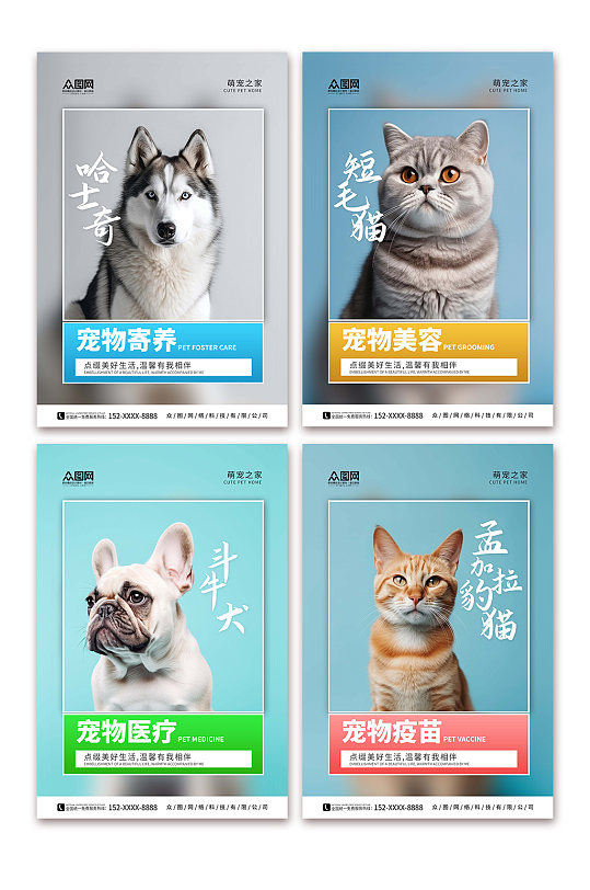 宠物店医院系列萌宠摄影图宣传海报