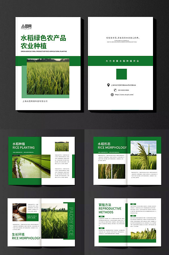 水稻绿色农产品农业种植画册