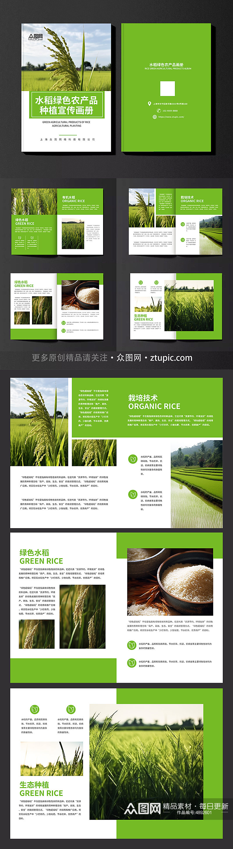 水稻绿色农产品农业种植画册素材