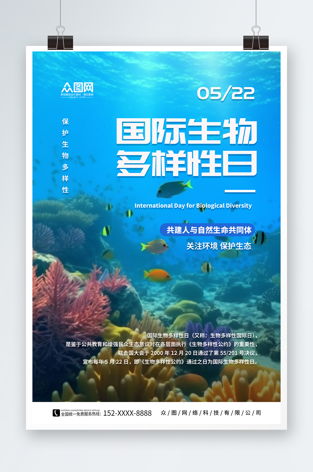 蓝色生物多样性日保护野生动物海报素材