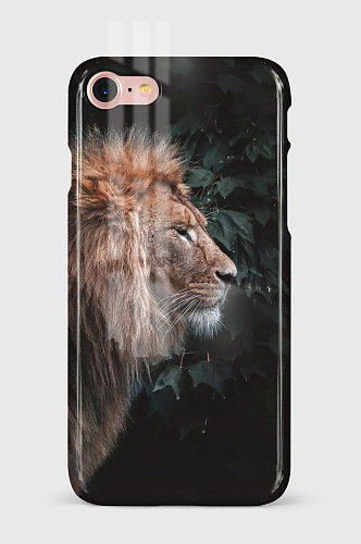 狮子头手机壳图案