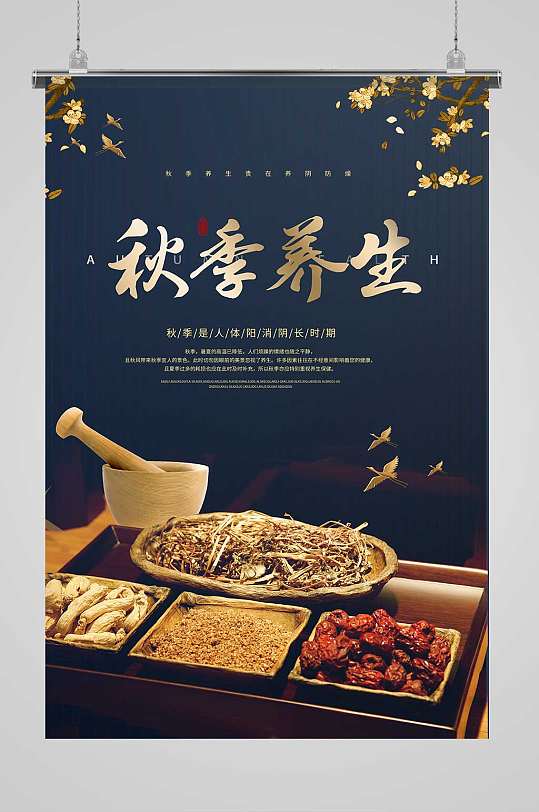 黑色大气秋季养生药材调理宣传海报