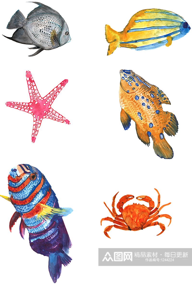 海鲜蓝色海星螃蟹水彩鱼素材