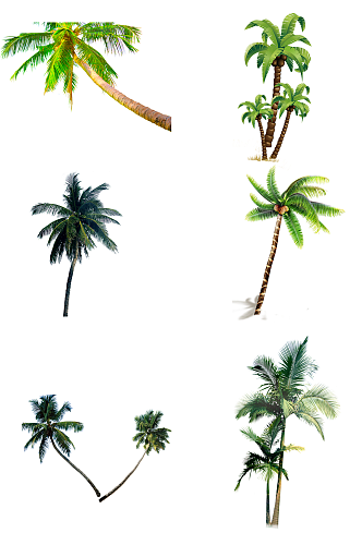 椰子树海边免扣素材