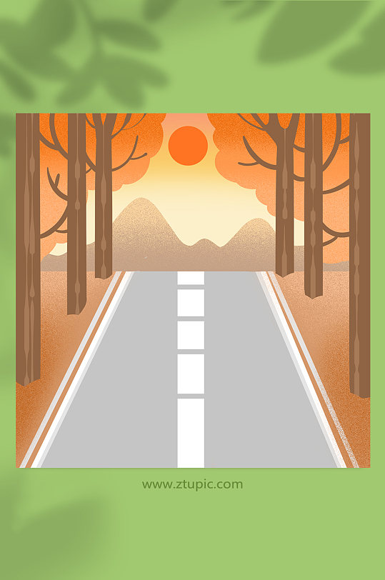 秋季夕阳马路枫树林落日背景