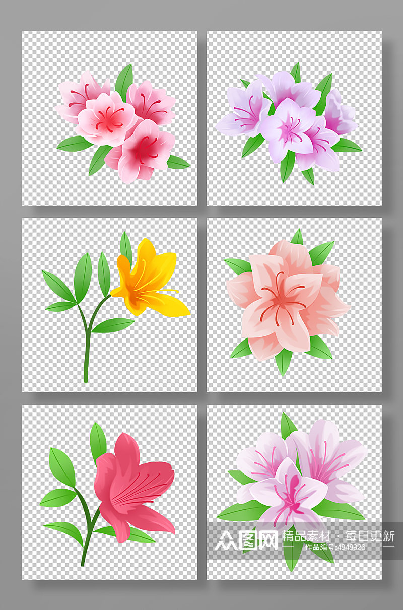 手绘写实杜鹃花花卉元素插画素材