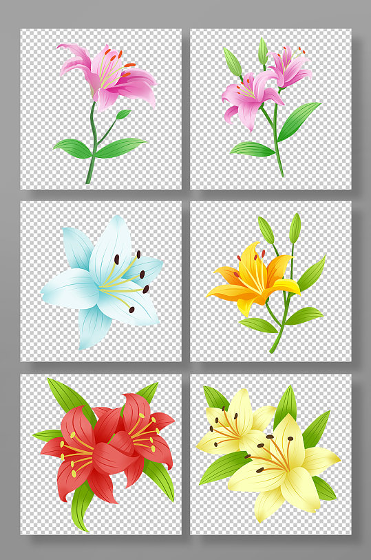 卡通手绘百合花花卉元素插画