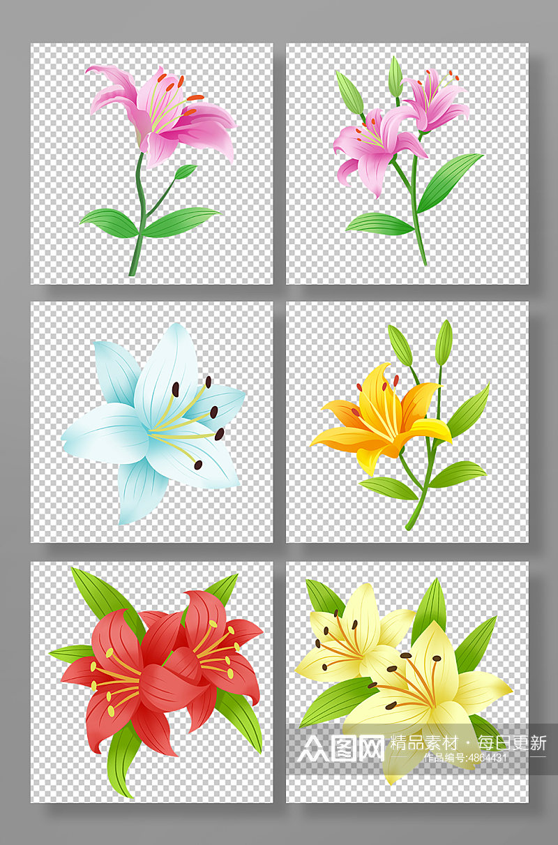 卡通手绘百合花花卉元素插画素材