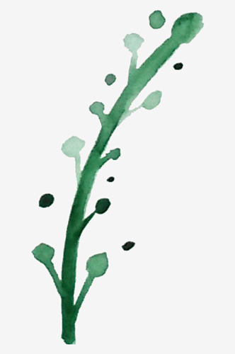 手绘水彩水墨叶子树叶植物绿叶落叶PNG