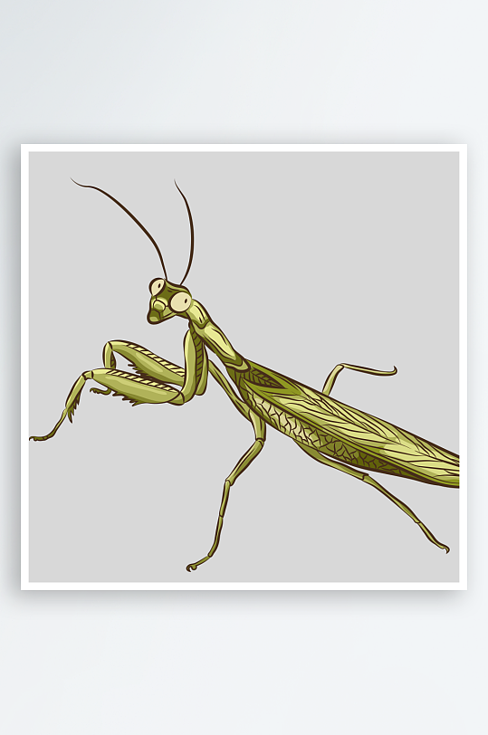 卡通自然界手绘昆虫AI矢量插图插画