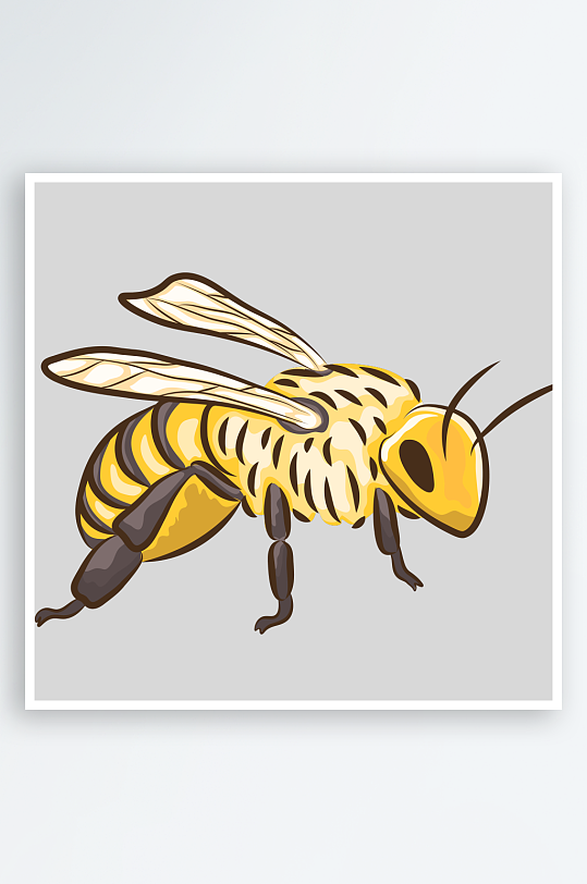 自然界手绘昆虫AI矢量插图插画