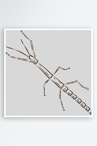 卡通自然界手绘昆虫黑白线稿AI矢量插图