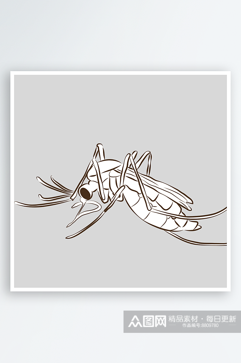 卡通自然界手绘昆虫黑白线稿AI矢量插图素材
