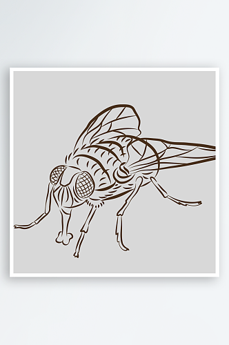 卡通自然界手绘昆虫黑白线稿AI矢量插图