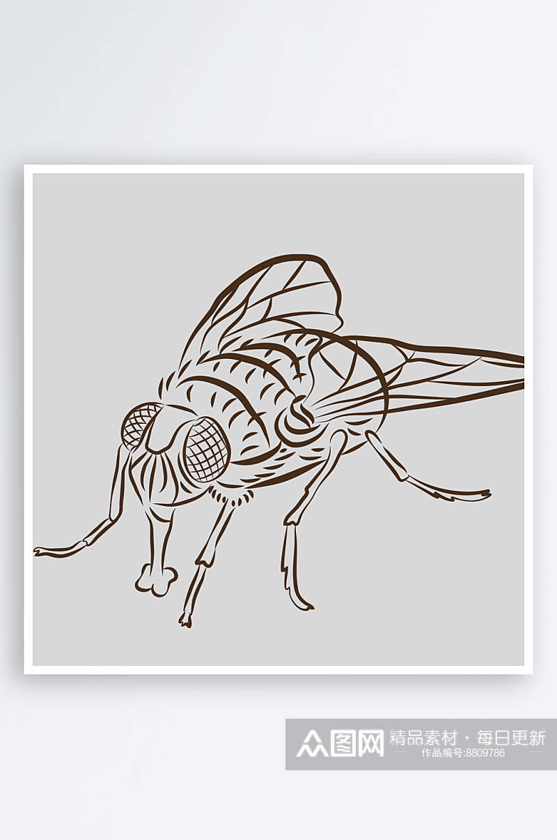 卡通自然界手绘昆虫黑白线稿AI矢量插图素材
