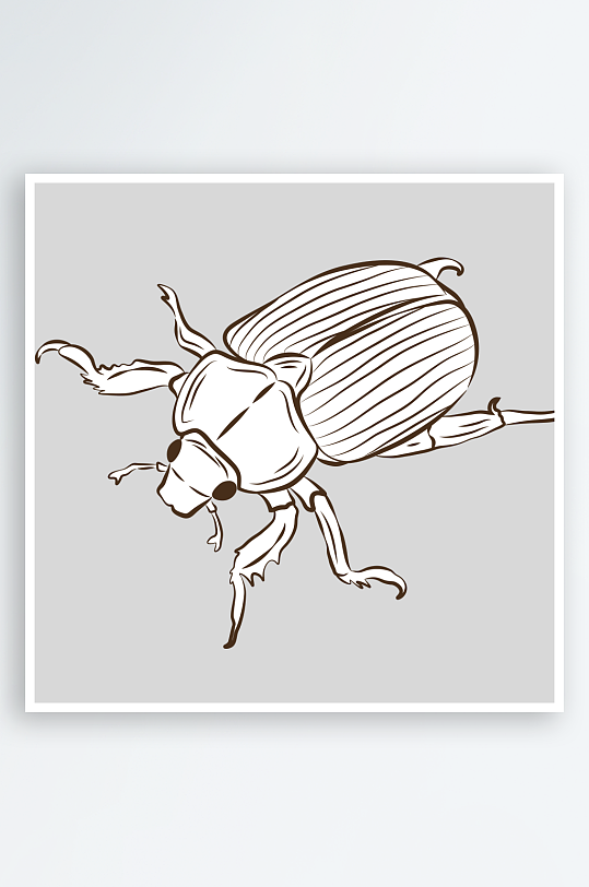 自然界手绘昆虫黑白线稿AI矢量插图