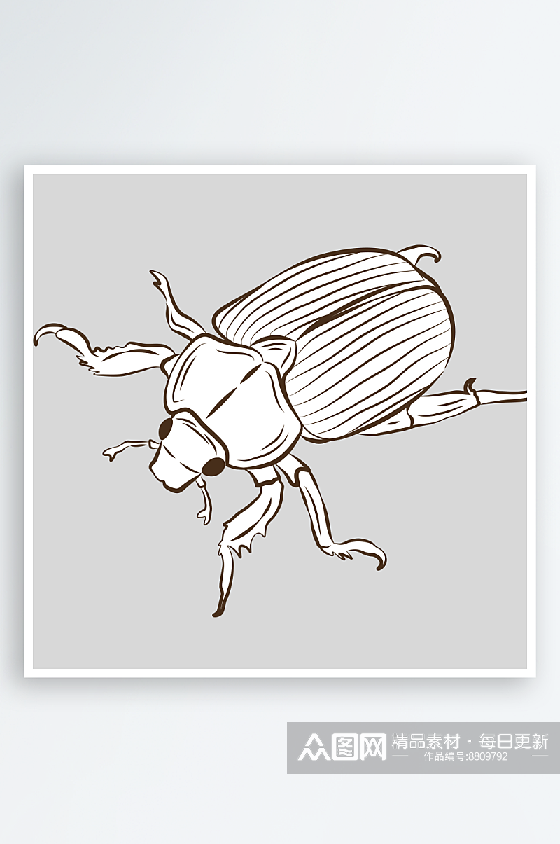 自然界手绘昆虫黑白线稿AI矢量插图素材