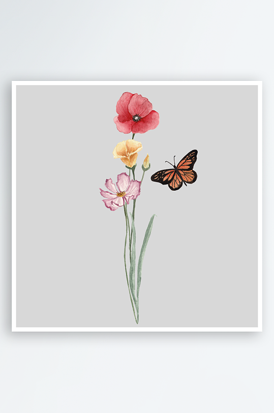 水彩手绘野花花卉植物蜻蜓蝴蝶PNG素材