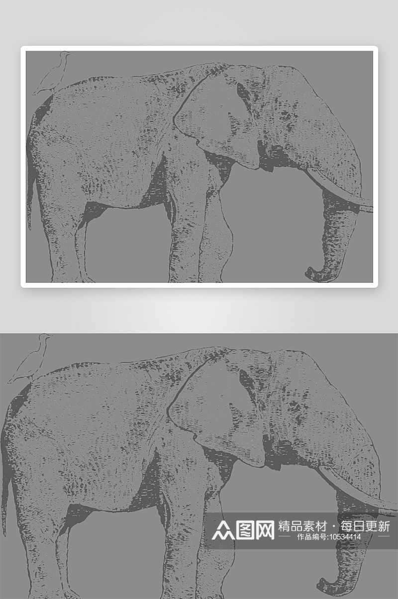 铅笔非洲野生动物植物速写绘画手稿PNG免素材