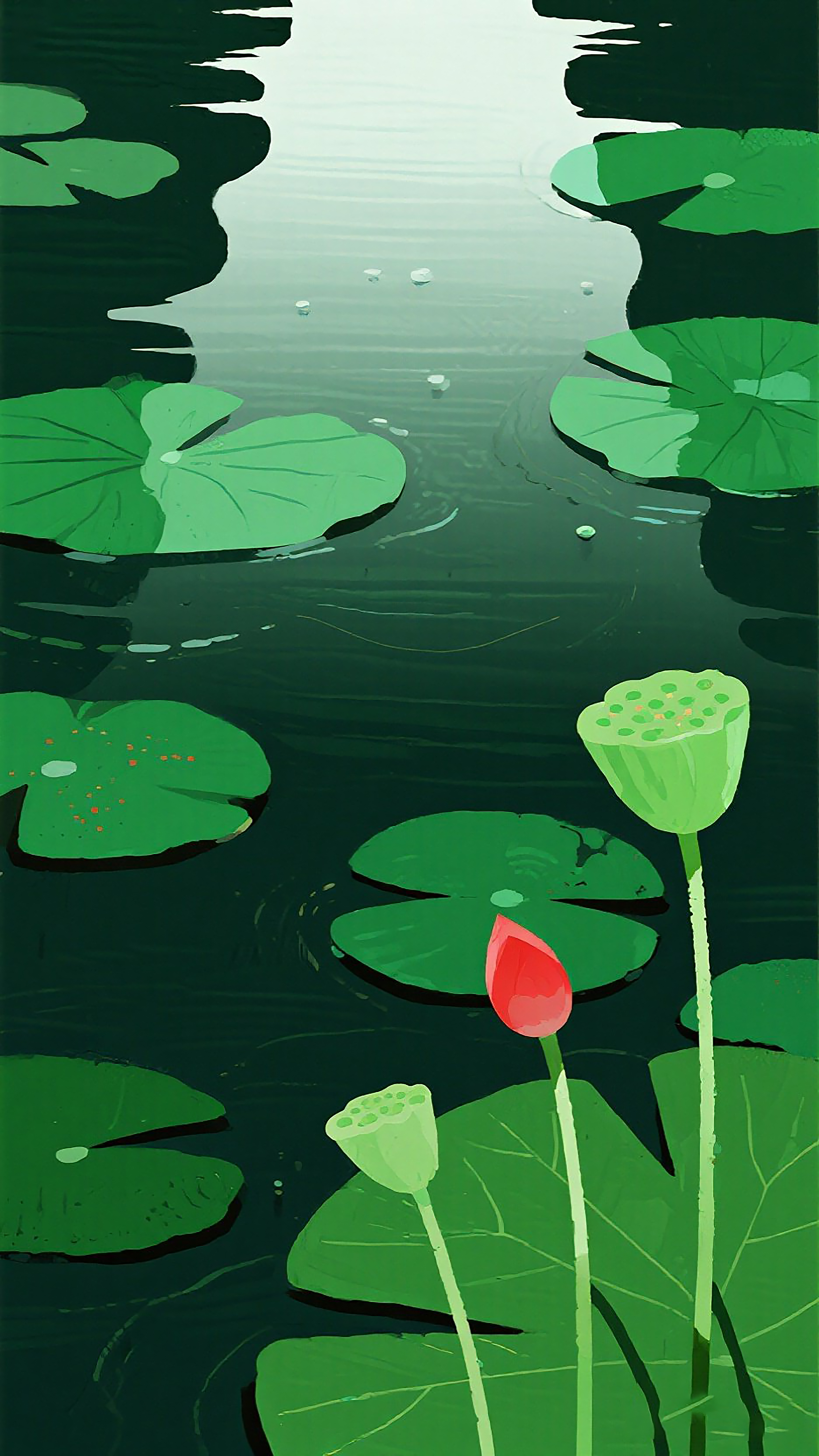 荷花高清素材插画素材