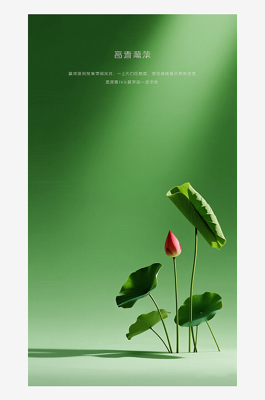 荷花高清素材插画