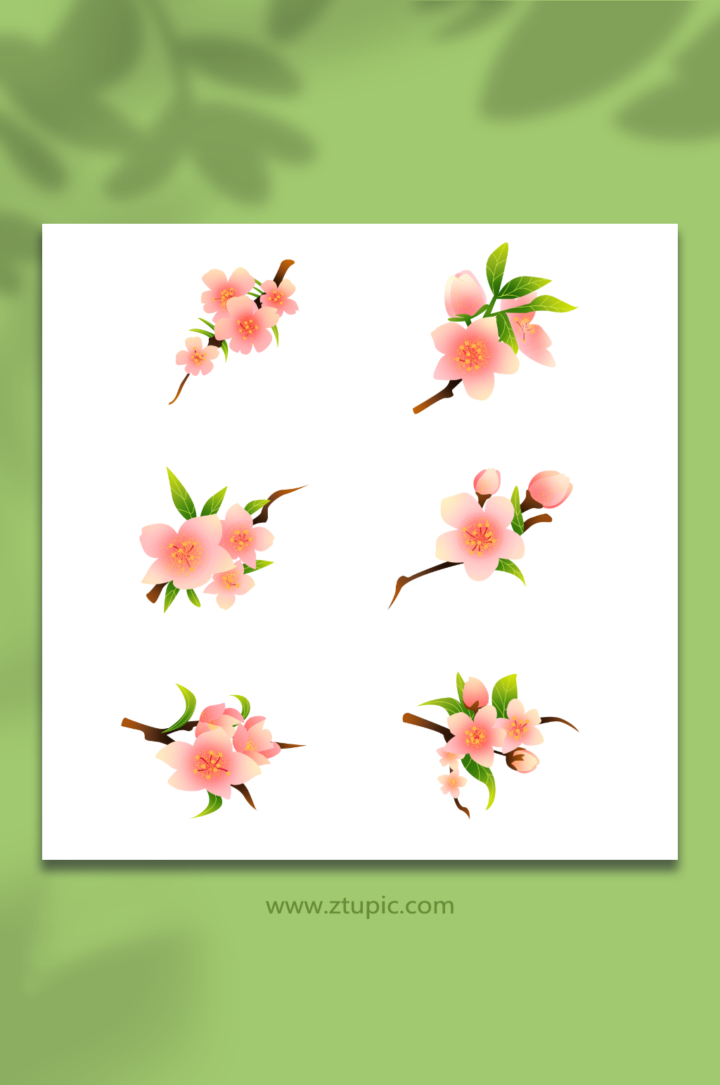 小清新粉色桃花樱花花卉元素插画素材