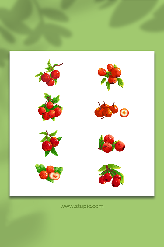 手绘清新山楂冬季水果元素插画-众图网