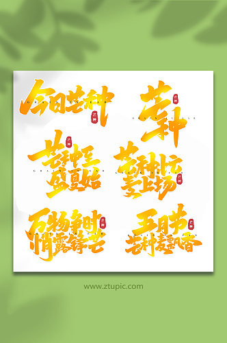 芒种手写节气艺术字