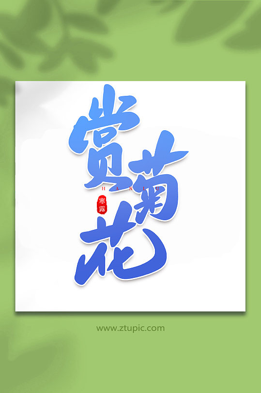赏菊花手写创意传统节气艺术字体