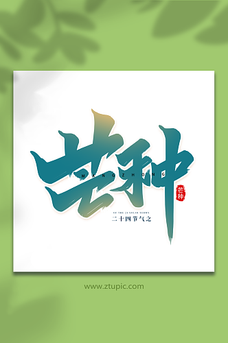 中国传统节日二十四节气芒种艺术字