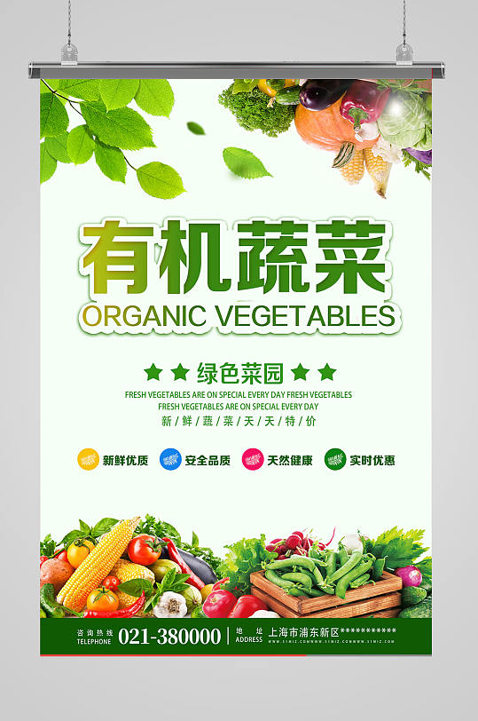 有机蔬菜新鲜蔬菜蔬菜蔬果海报