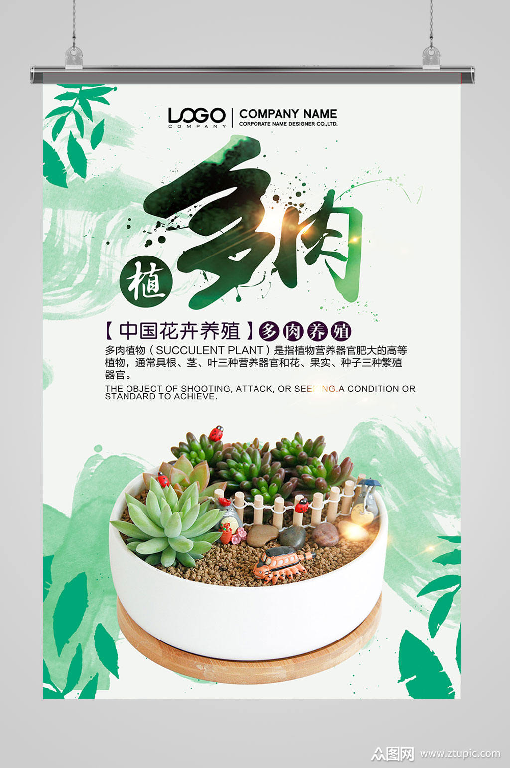 多肉植物设计海报模板