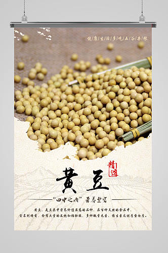 五谷杂粮黄豆海报设计