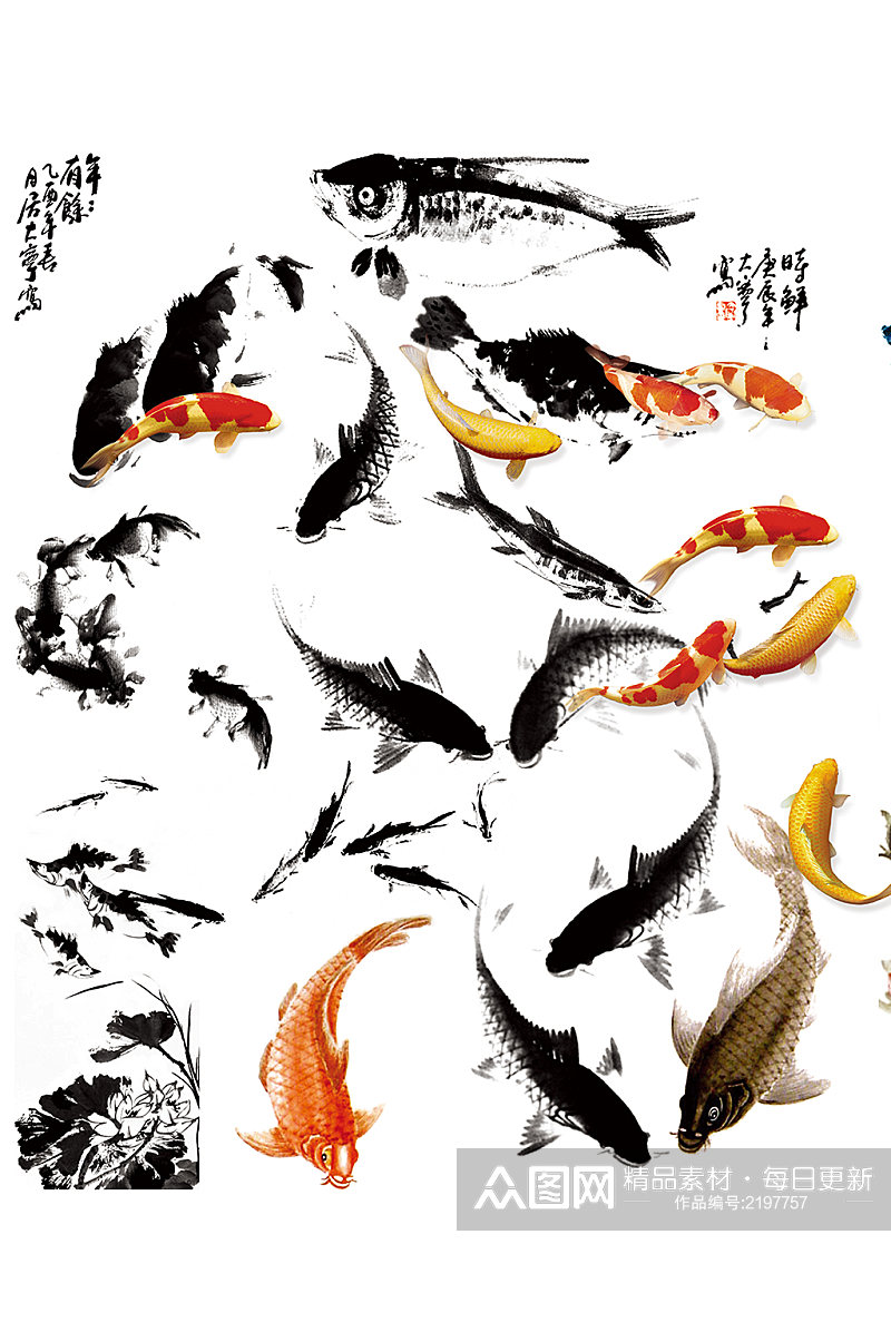 中国风金鱼鲤鱼设计元素素材
