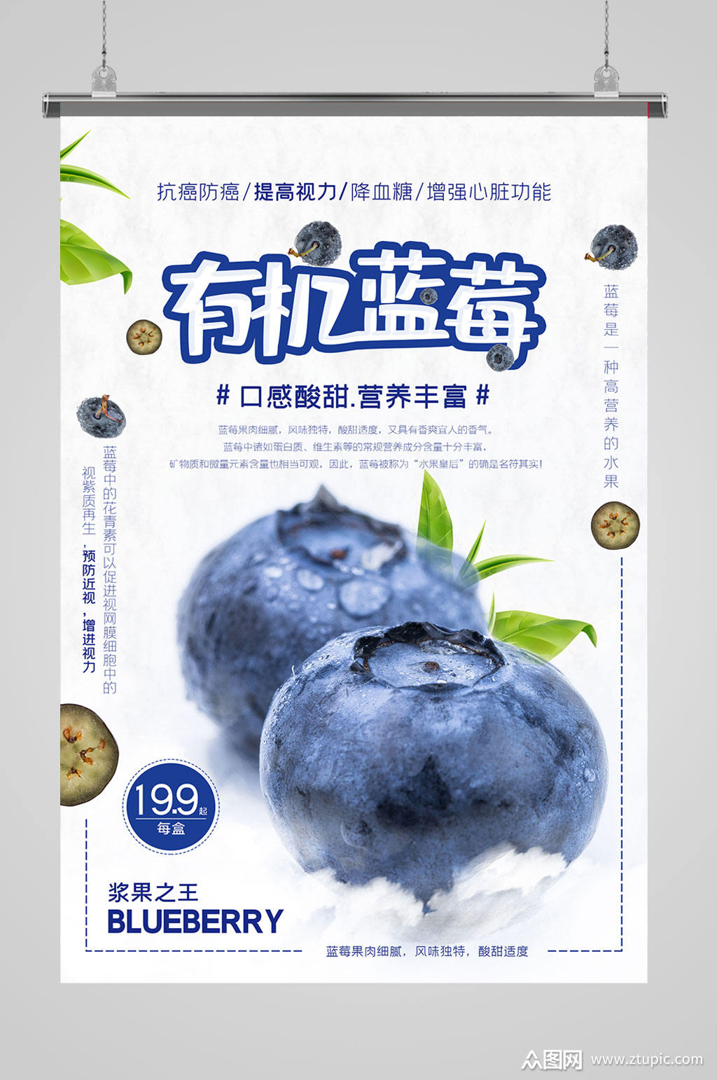 有机蓝莓海报设计模板下载-编号2250515-众图网